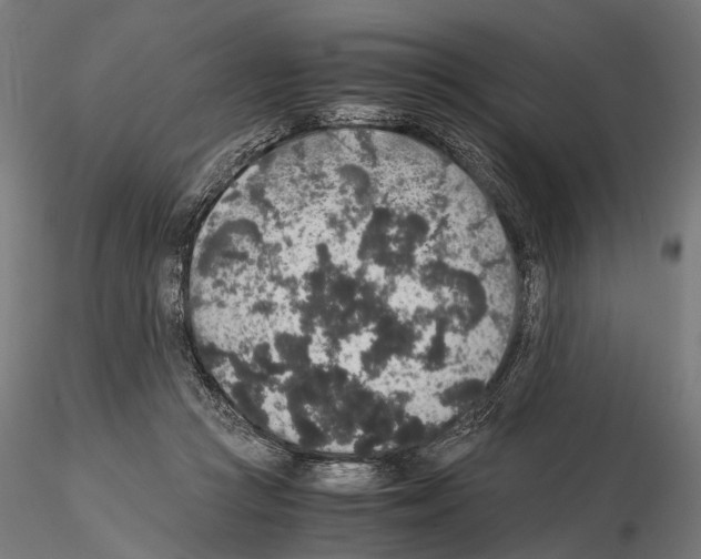 X0000115120361200912081350