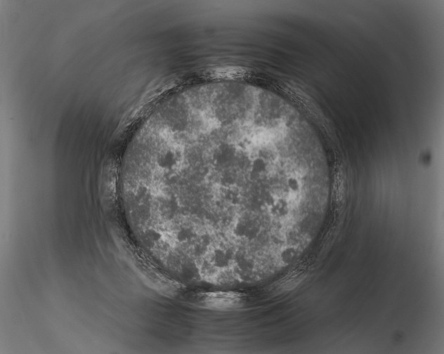 X0000115120363200912081350