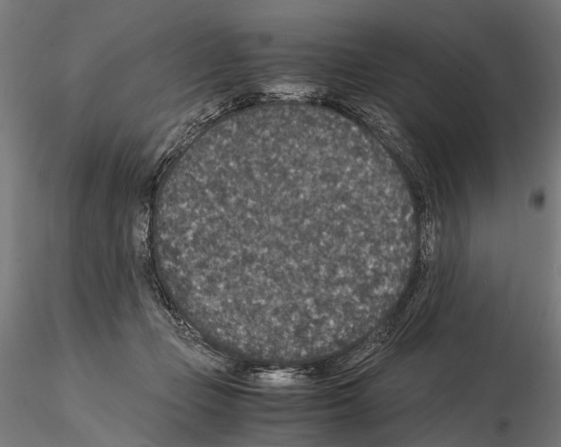 X0000115120365200912081350