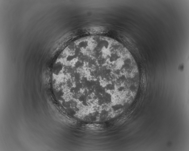 X0000115120367200912081350