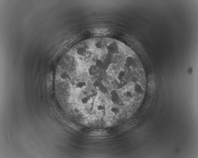 X0000115120369200912081350