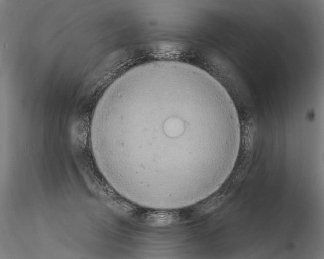 X0000115120370200912081350