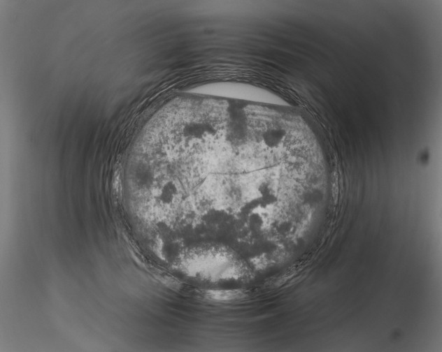 X0000115120371200912081350