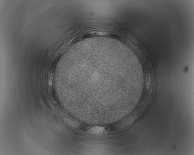 X0000115120374200912081350