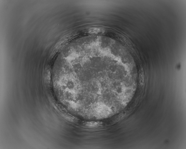 X0000115120375200912081350