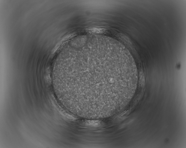 X0000115120377200912081350