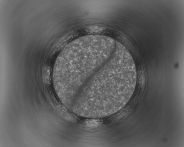 X0000115120378200912081350