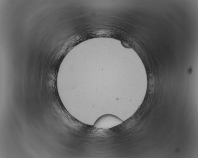 X0000115120379200912081350