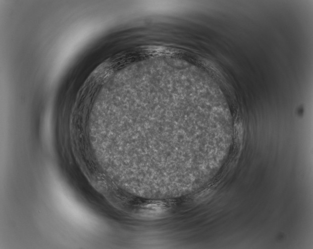 X0000115120381200912081350