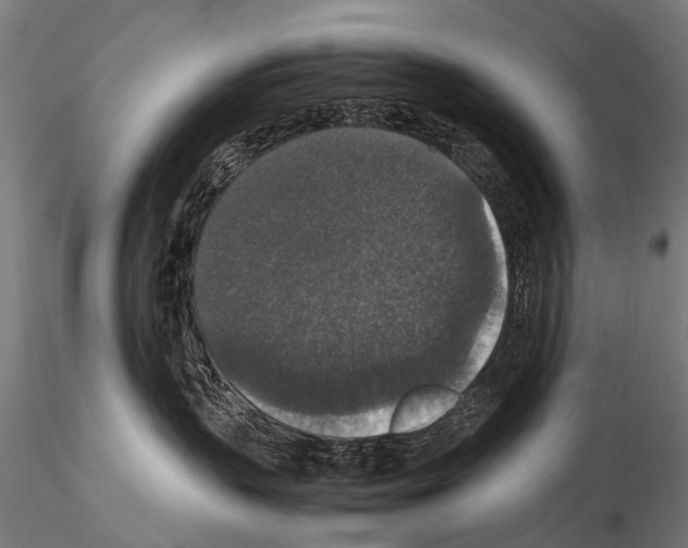 X0000115120383200912081350