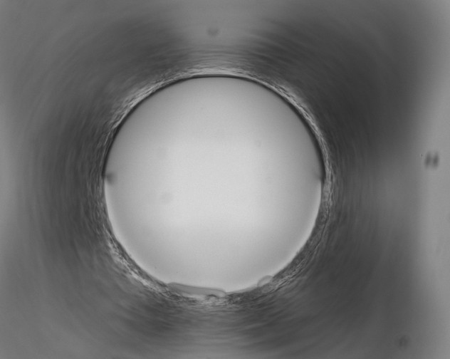 X0000115120385200912081349