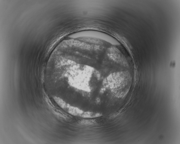 X0000115120386200912081349