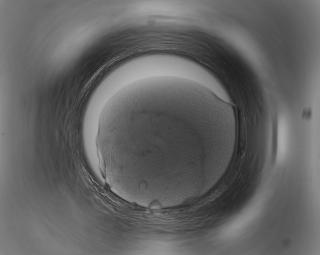 X0000115120387200912081349