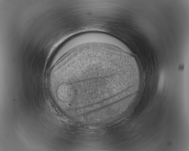 X0000115120388200912081349