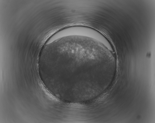 X0000115120389200912081349