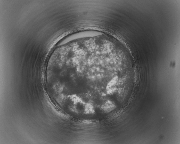 X0000115120390200912081349