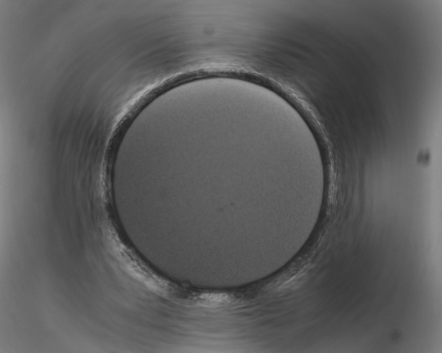 X0000115120391200912081349