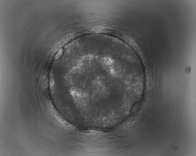 X0000115120393200912081349