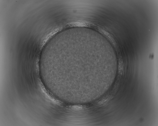 X0000115120394200912081349