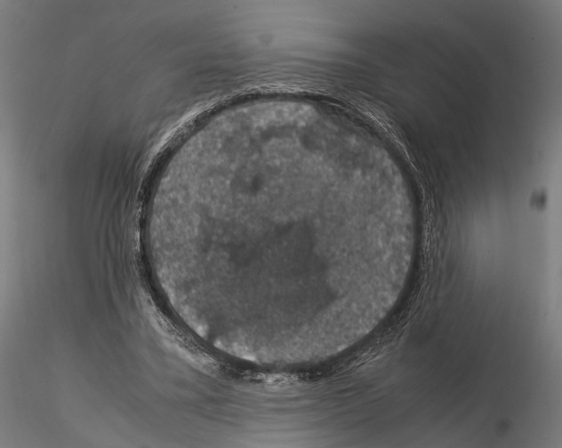 X0000115120395200912081349