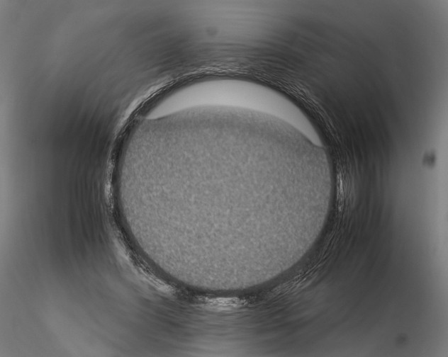 X0000115120396200912081349