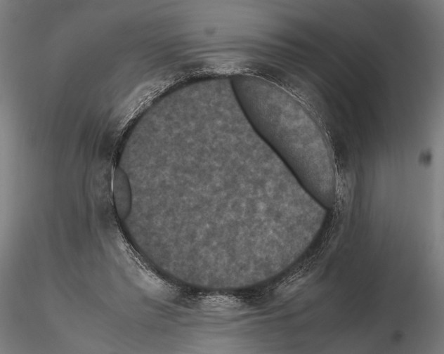 X0000115120397200912081349