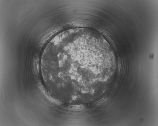 X0000115120398200912081349