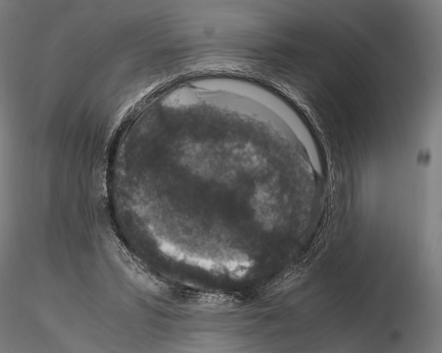 X0000115120399200912081349