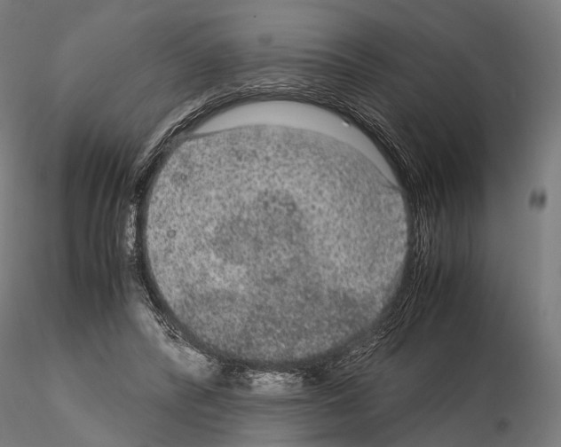 X0000115120400200912081349