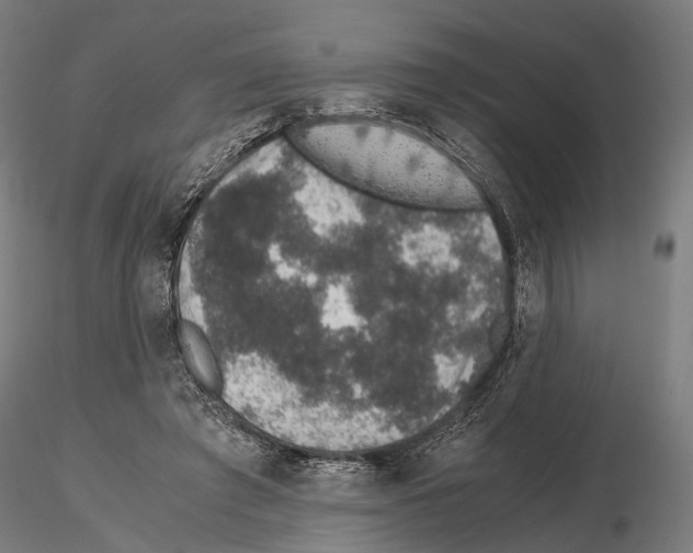 X0000115120401200912081349