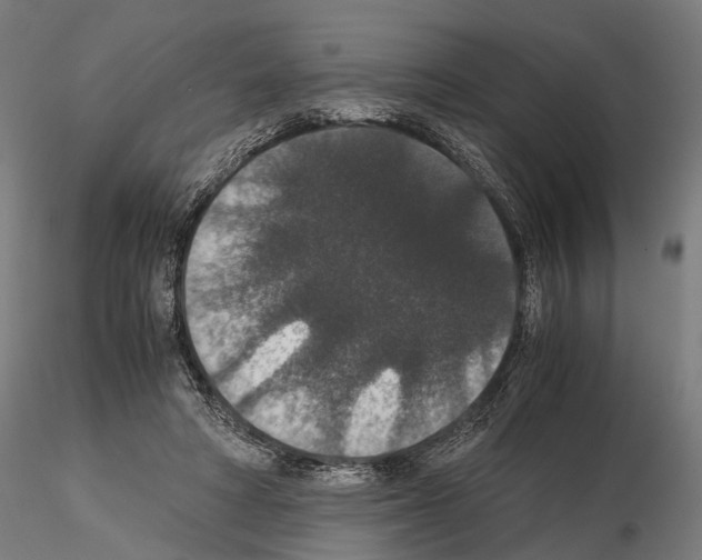 X0000115120402200912081349