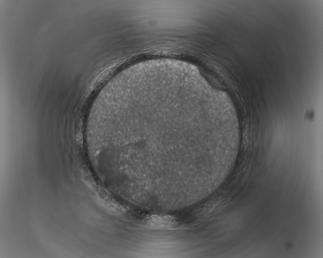 X0000115120403200912081349