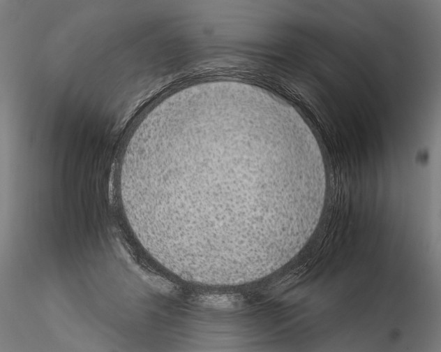 X0000115120404200912081349