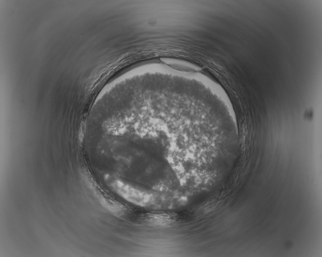 X0000115120405200912081349