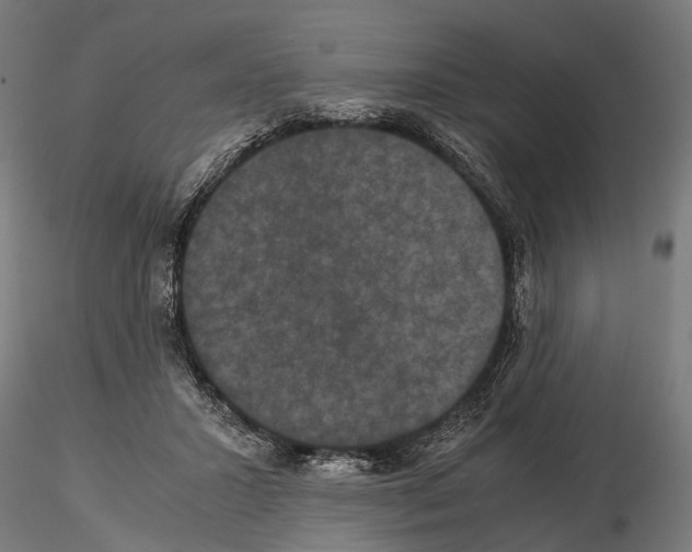 X0000115120407200912081349