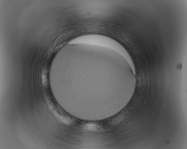 X0000115120408200912081349