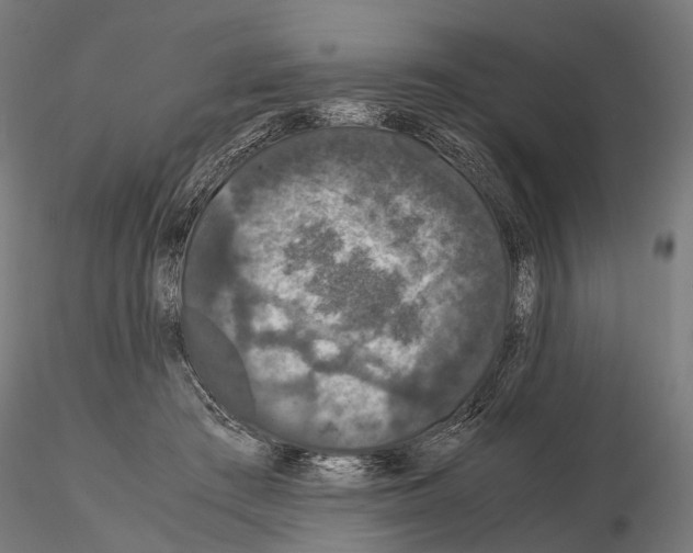 X0000115120409200912081349