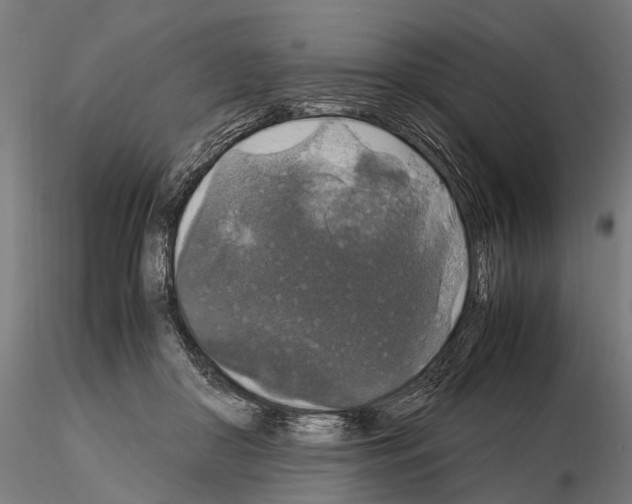 X0000115120410200912081349