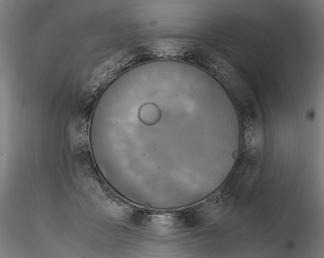 X0000115120411200912081349