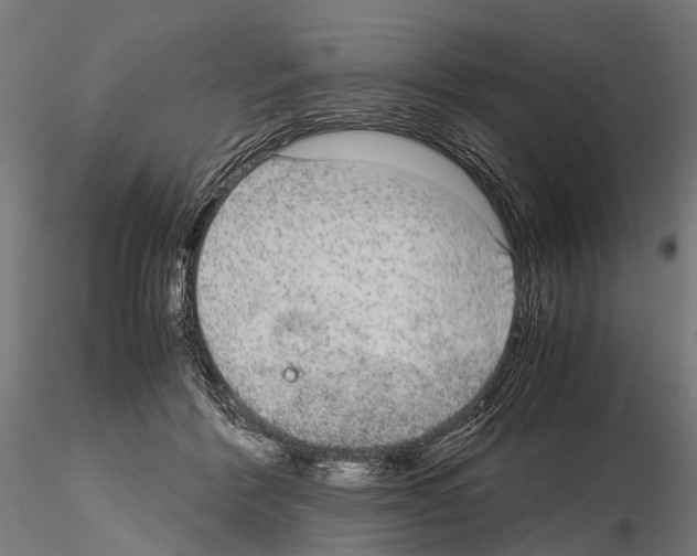 X0000115120412200912081349