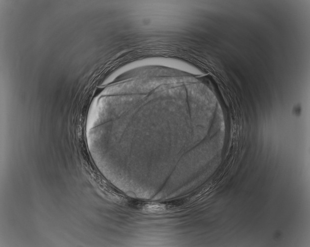 X0000115120413200912081349