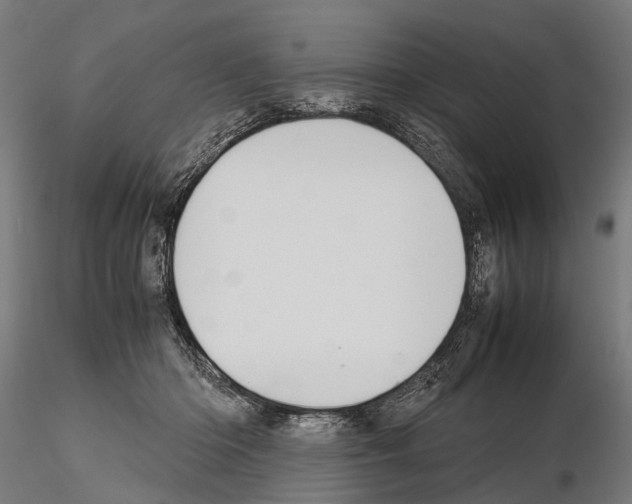 X0000115120414200912081349