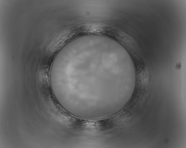 X0000115120415200912081349