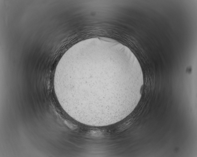 X0000115120416200912081349