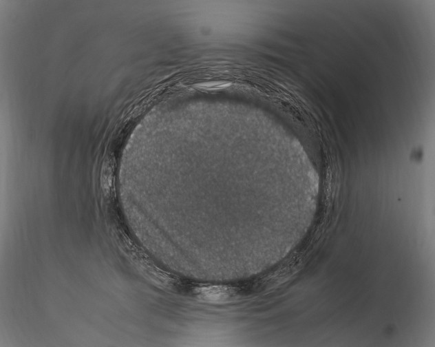 X0000115120417200912081349