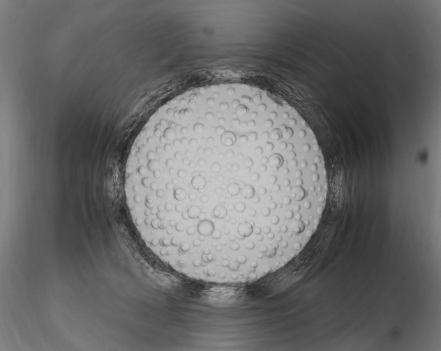 X0000115120418200912081349