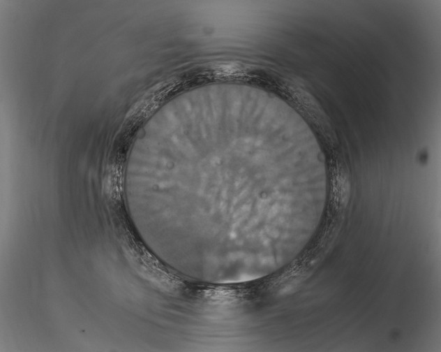 X0000115120419200912081349