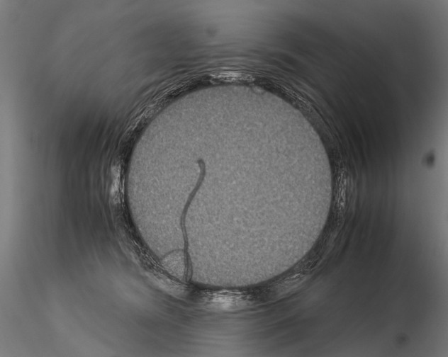 X0000115120420200912081349