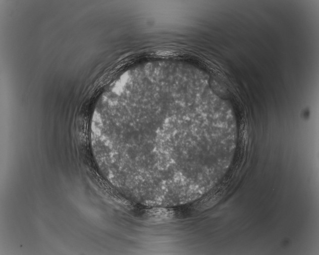 X0000115120421200912081349