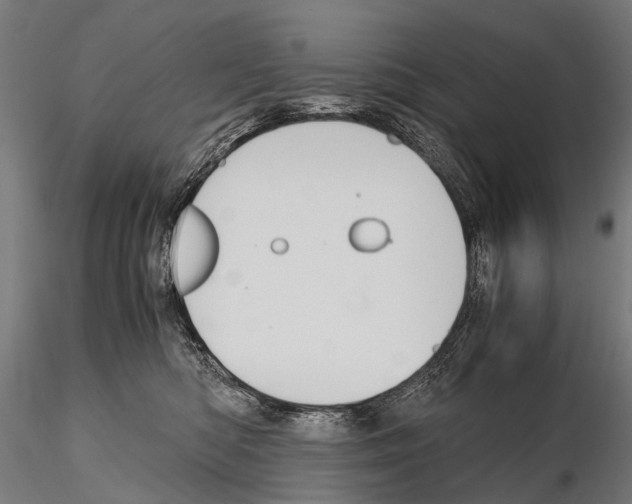 X0000115120422200912081349